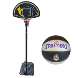 Portable Basketball stand MASTER Street 305