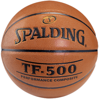 Basketball Backboard MASTER 90 x 60 cm + Spalding TF-500 Basketball