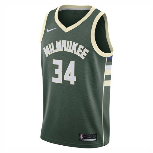 Nike NBA Milwaukee Bucks Giannis Antetokounmpo Kids Jersey