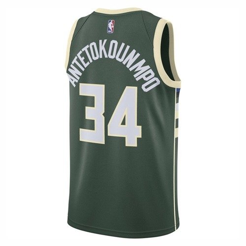 Nike NBA Milwaukee Bucks Giannis Antetokounmpo Kids Jersey