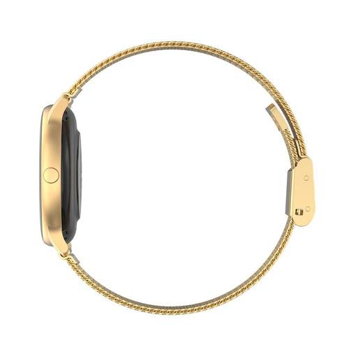 Smartwatch G. Rossi SW015-5 gold/gold