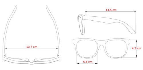 Sports and cycling glasses with polarization Arctica - S-502