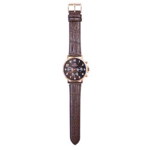 Tommy Hilfiger Watch 1710379