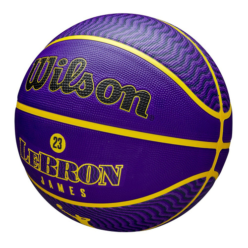 Wilson Player Icon Basketball Lebron James LA LAKERS + ball pump WILSON