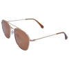 Polaroid Sunglasses - PLD2084GS-3YG