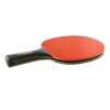 Table tenis paddel Donic Schildkröt CarboTec 900 - MTS758219