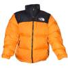 The North Face 1996 Retro Nuptse Winter Jacket - NNF0A3C8D78M