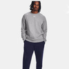 UNDER ARMOUR FLEECE CREW - 1379755-25