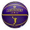 Wilson Player Icon Basketball Lebron James LA LAKERS + ball pump WILSON