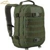 Wisport Sparrow 20 II Olive Green Backpack