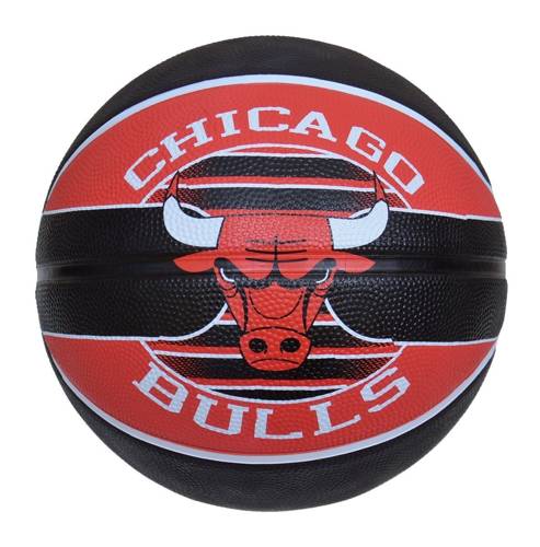 Basketball Backboard MASTER 90 x 60 cm + Spalding Chicago Bulls