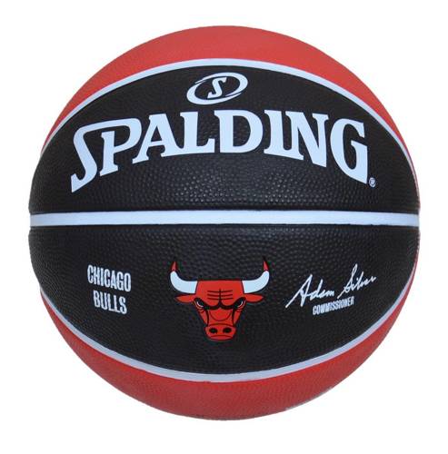 Basketball Backboard MASTER 90 x 60 cm + Spalding Chicago Bulls