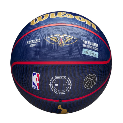 Wilson NBA Team Boston Celtics Basketball outdoor + Wilson ball pump