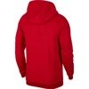 Air Jordan Jumpman Fleece Pullover Hoodie - CT4885-687