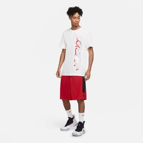 Air Jordan Dri-FIT Air Basketball Shorts - CD5064-687