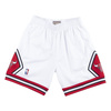 Mitchell & Ness NBA Swingman Chicago Bulls Basketball Shorts