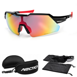 Arctica Sunglasses - S-315A