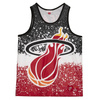 Mitchell & Ness NBA Miami Heat Tank Top - MSTKAJ19070-MHESCAR