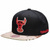 Chicago Bulls