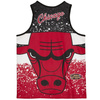 Koszulka Sport męska bezrękawnik Mitchell & Ness NBA Chicago Bulls Tank Top