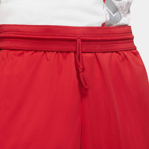 Air Jordan Dri-FIT Air Basketball Shorts - CD5064-687