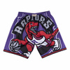 Spodenki Mitchell & Ness NBA Big Face Short Raptors 98-99