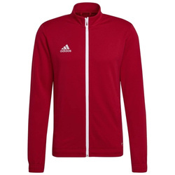 Adidas Entrada 22 Training Men's Jacket - H57537