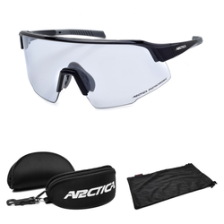 Arctica Sunglasses - S-340F