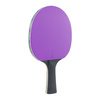 Table tenis set 2 paddles 8 balls JOOLA Colorato - 54814