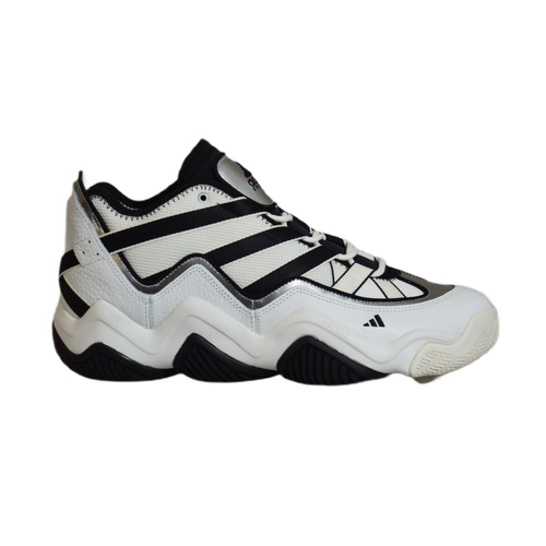 Buty męskie sportowe koszykarskie Adidas Top Ten 2010 White Black - HR0099