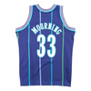 Koszulka Mitchell & Ness NBA Charlotte Hornets Alonzo Mourning Swingman - SMJYAC18010-CHOPURP94AMO