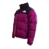 Męska kurtka zimowa The North Face 1996 Retro Nuptse - NF0A3C8DKK9